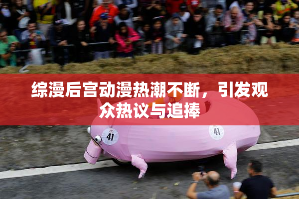 综漫后宫动漫热潮不断，引发观众热议与追捧