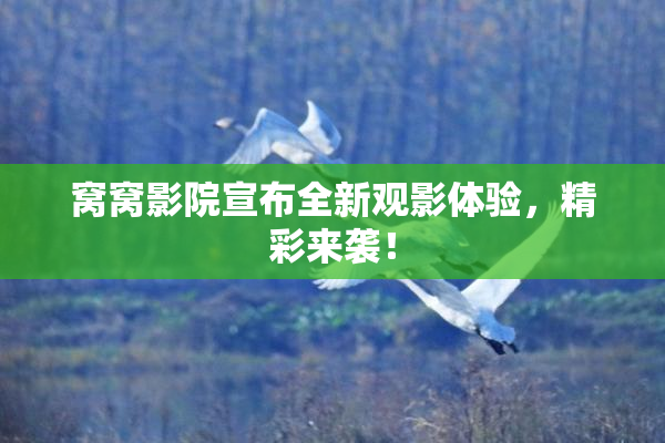 窝窝影院宣布全新观影体验，精彩来袭！