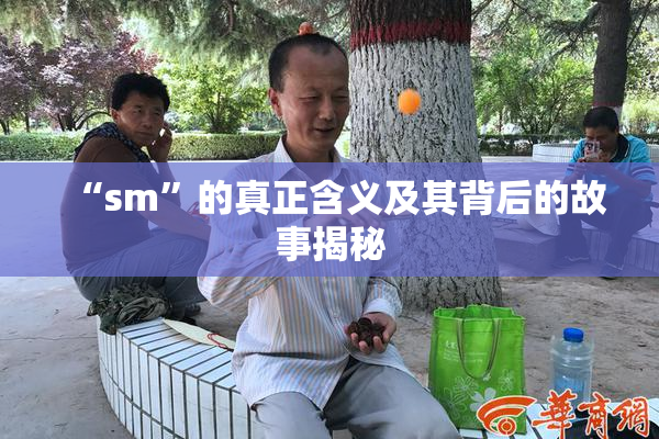 “sm”的真正含义及其背后的故事揭秘