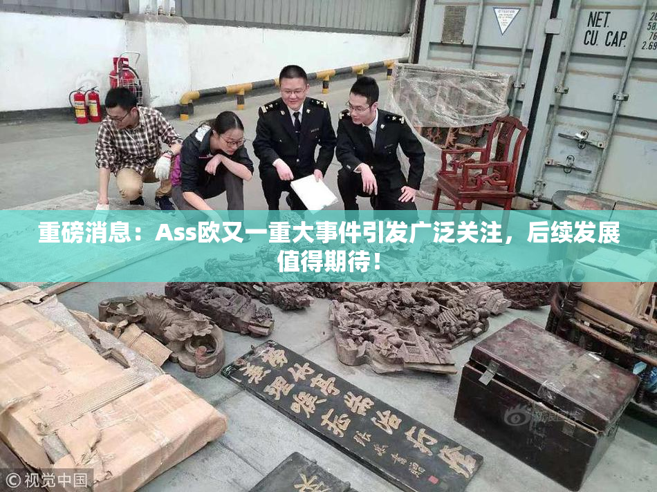 重磅消息：Ass欧又一重大事件引发广泛关注，后续发展值得期待！