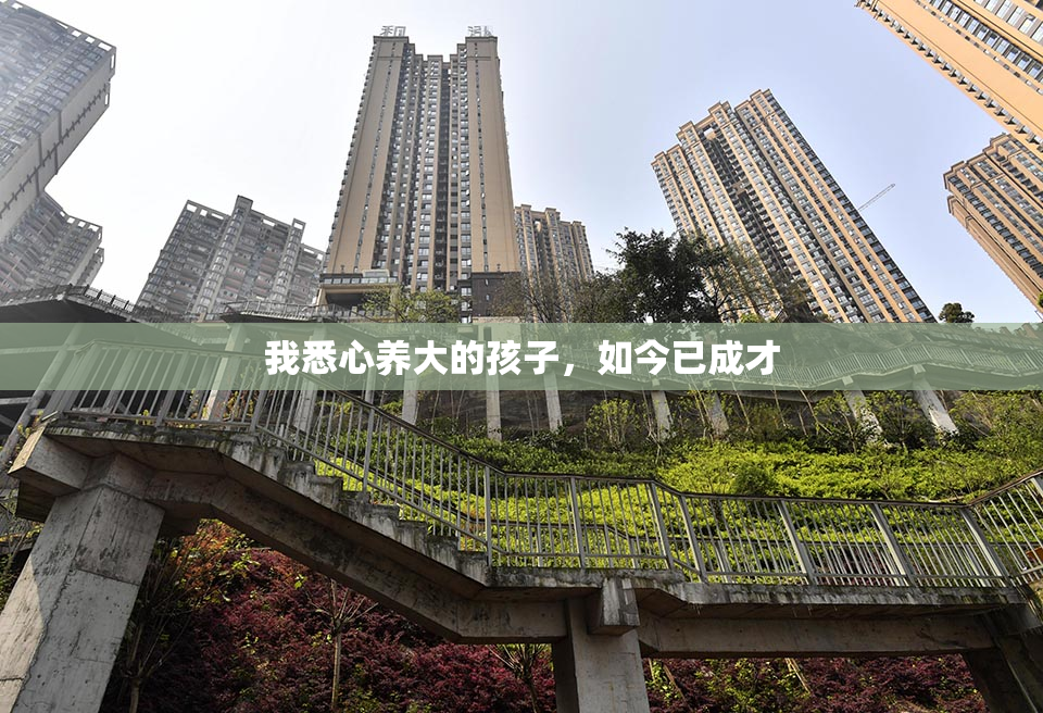 我悉心养大的孩子，如今已成才