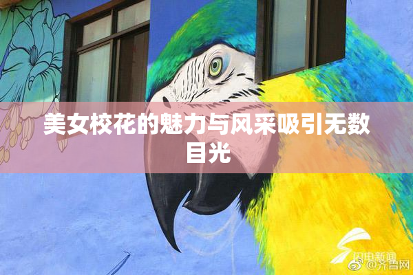 美女校花的魅力与风采吸引无数目光