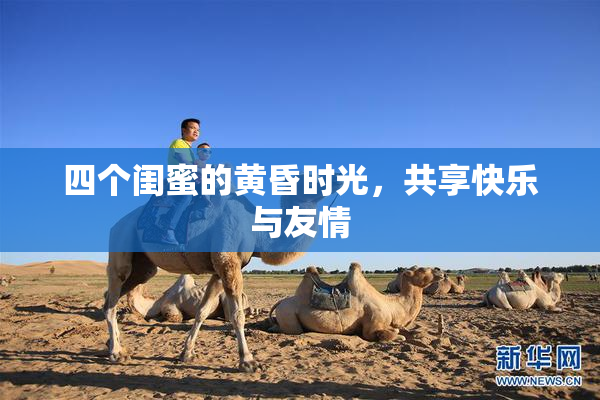 四个闺蜜的黄昏时光，共享快乐与友情