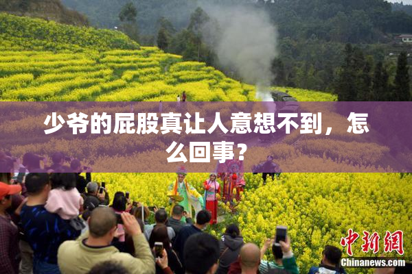 少爷的屁股真让人意想不到，怎么回事？