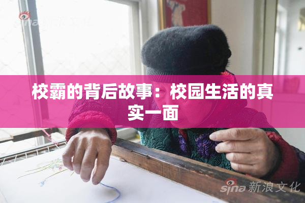 校霸的背后故事：校园生活的真实一面