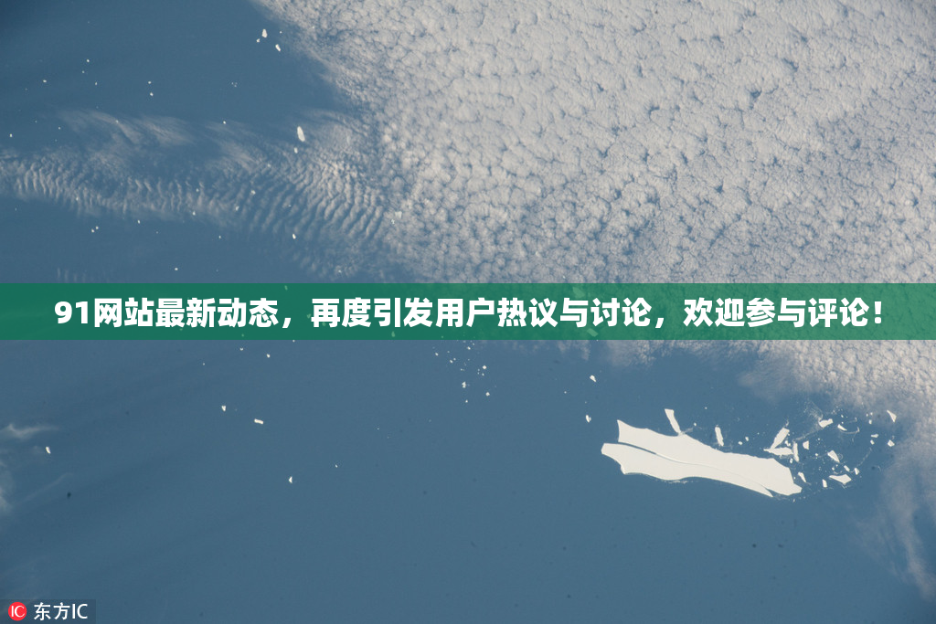 91网站最新动态，再度引发用户热议与讨论，欢迎参与评论！