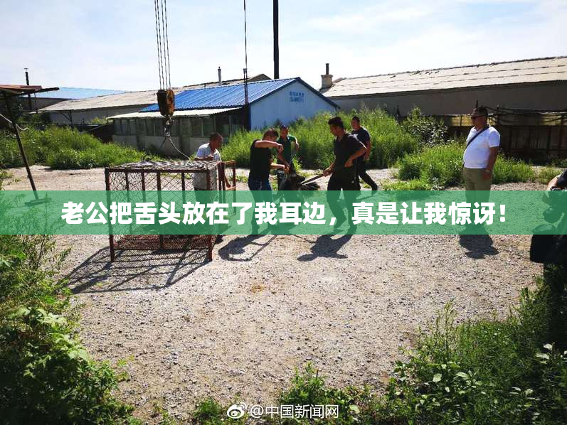 老公把舌头放在了我耳边，真是让我惊讶！