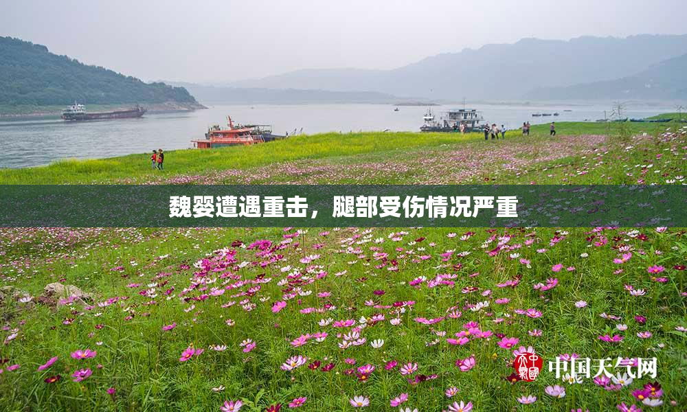 魏婴遭遇重击，腿部受伤情况严重