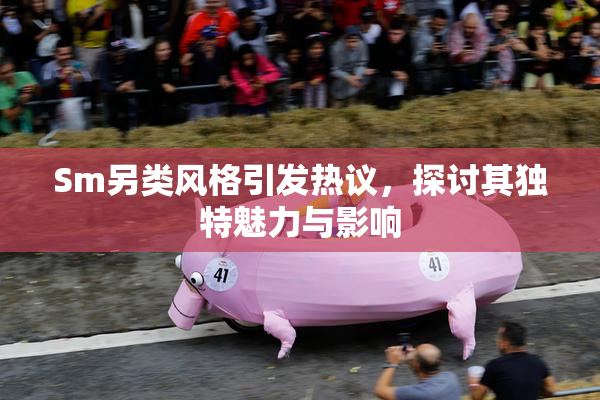 Sm另类风格引发热议，探讨其独特魅力与影响
