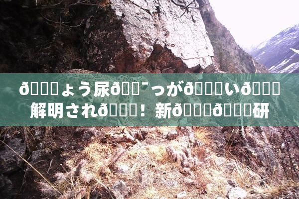 🎆ょう尿🔯っが😚い🎆解明され👅！新👅🍑研究成果発表