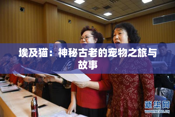埃及猫：神秘古老的宠物之旅与故事
