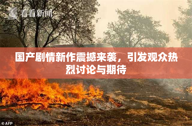 国产剧情新作震撼来袭，引发观众热烈讨论与期待