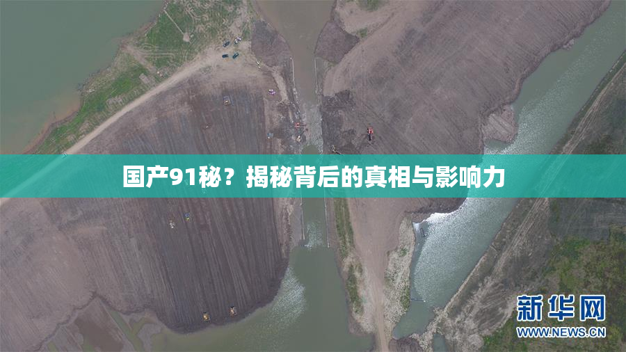 国产91秘？揭秘背后的真相与影响力
