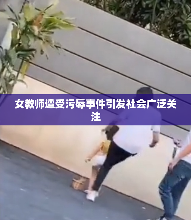 女教师遭受污辱事件引发社会广泛关注