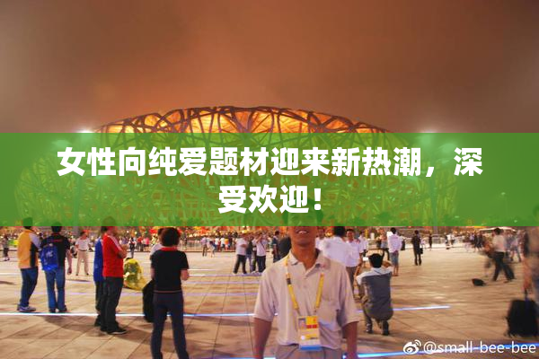 女性向纯爱题材迎来新热潮，深受欢迎！