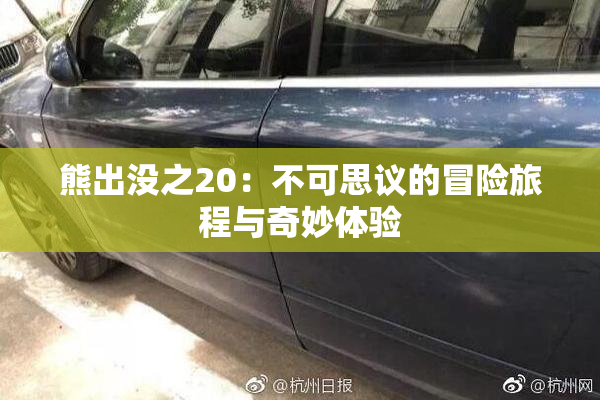 熊出没之20：不可思议的冒险旅程与奇妙体验