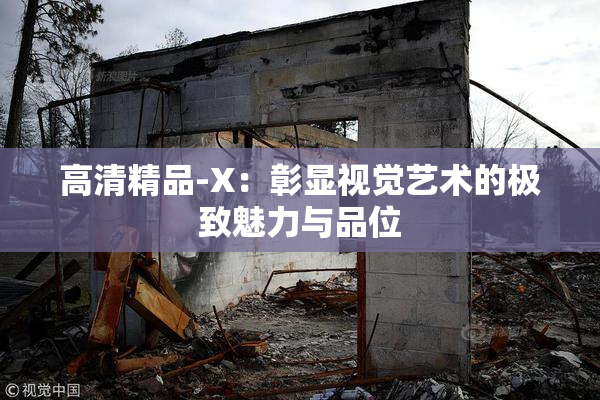 高清精品-X：彰显视觉艺术的极致魅力与品位