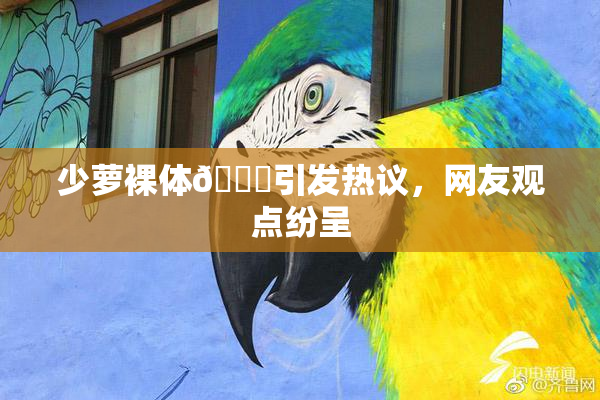 少萝裸体🔞引发热议，网友观点纷呈