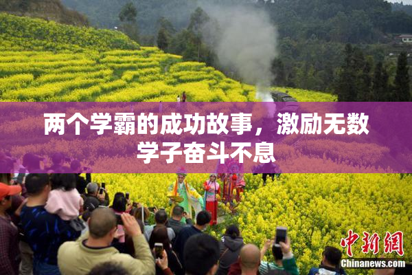 两个学霸的成功故事，激励无数学子奋斗不息