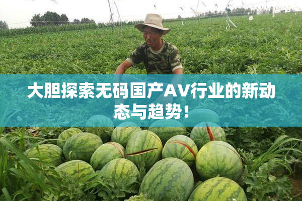 大胆探索无码国产AV行业的新动态与趋势！