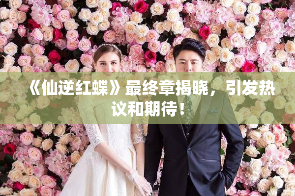 《仙逆红蝶》最终章揭晓，引发热议和期待！