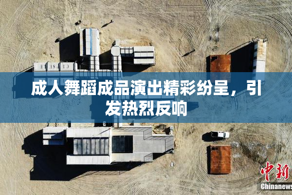成人舞蹈成品演出精彩纷呈，引发热烈反响
