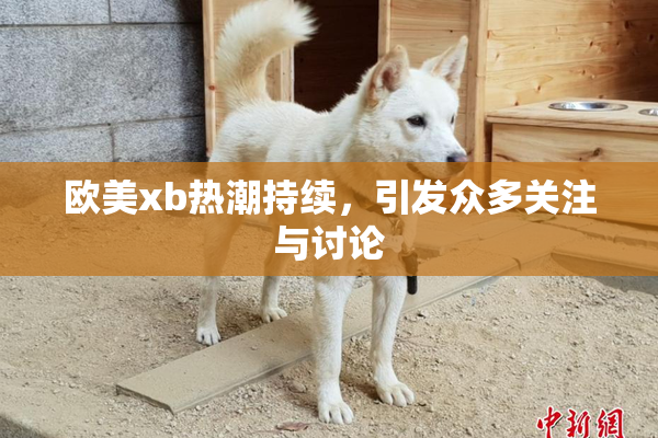 欧美xb热潮持续，引发众多关注与讨论