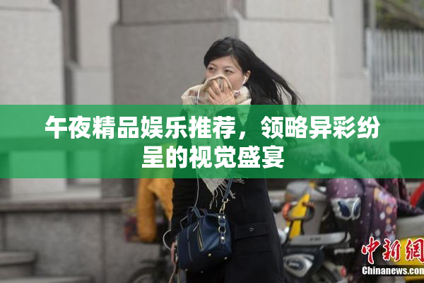 午夜精品娱乐推荐，领略异彩纷呈的视觉盛宴
