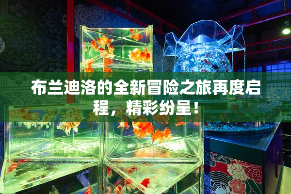 布兰迪洛的全新冒险之旅再度启程，精彩纷呈！