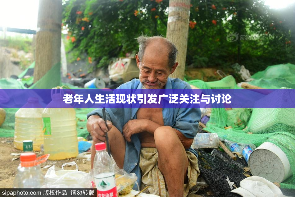 老年人生活现状引发广泛关注与讨论