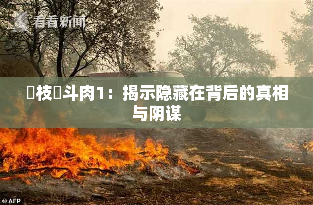 狛枝凪斗肉1：揭示隐藏在背后的真相与阴谋