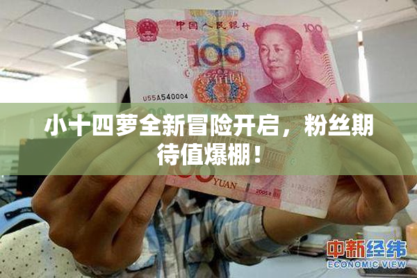 小十四萝全新冒险开启，粉丝期待值爆棚！