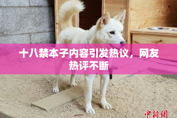 十八禁本子内容引发热议，网友热评不断