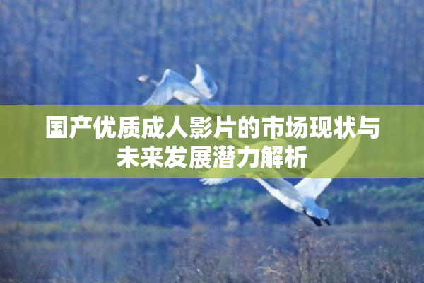 国产优质成人影片的市场现状与未来发展潜力解析