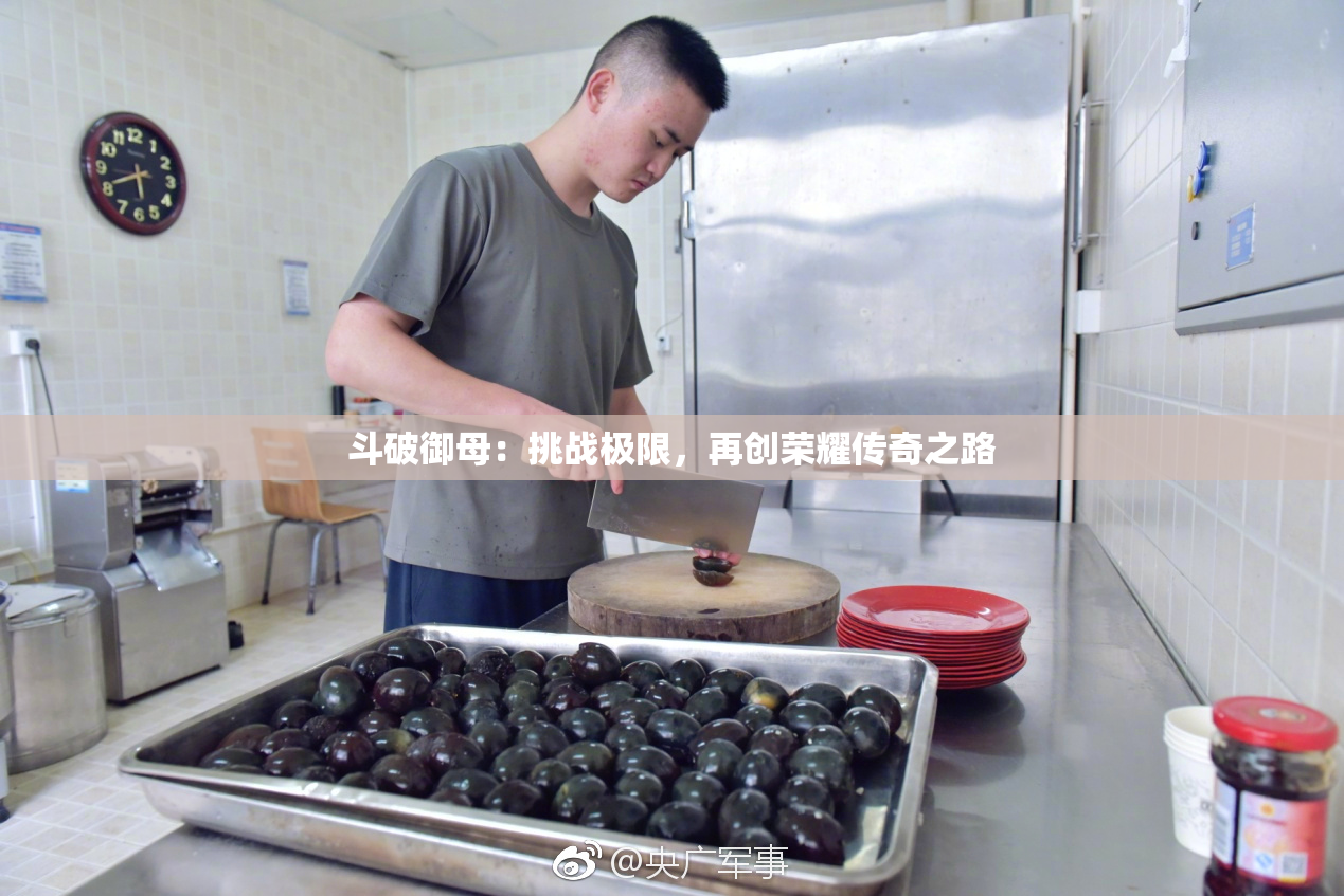 斗破御母：挑战极限，再创荣耀传奇之路