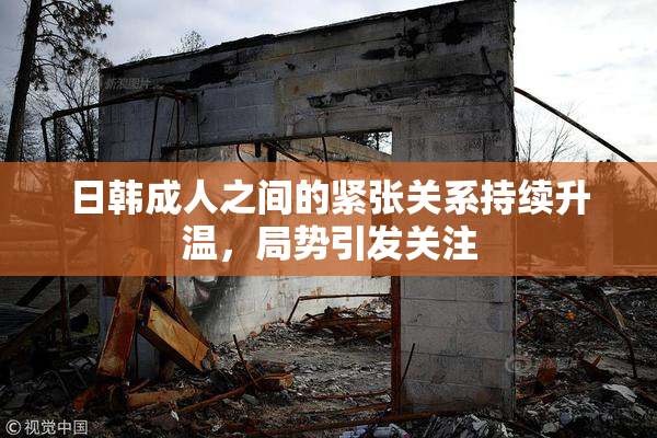 日韩成人之间的紧张关系持续升温，局势引发关注