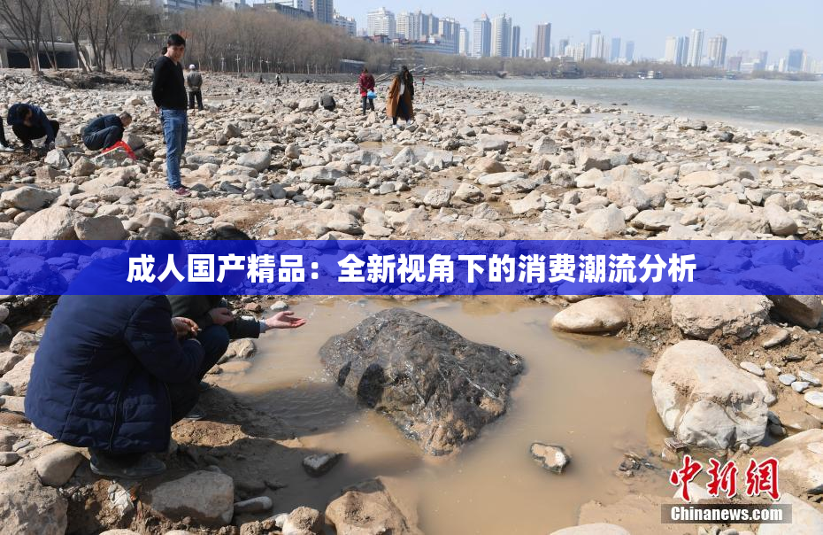 成人国产精品：全新视角下的消费潮流分析
