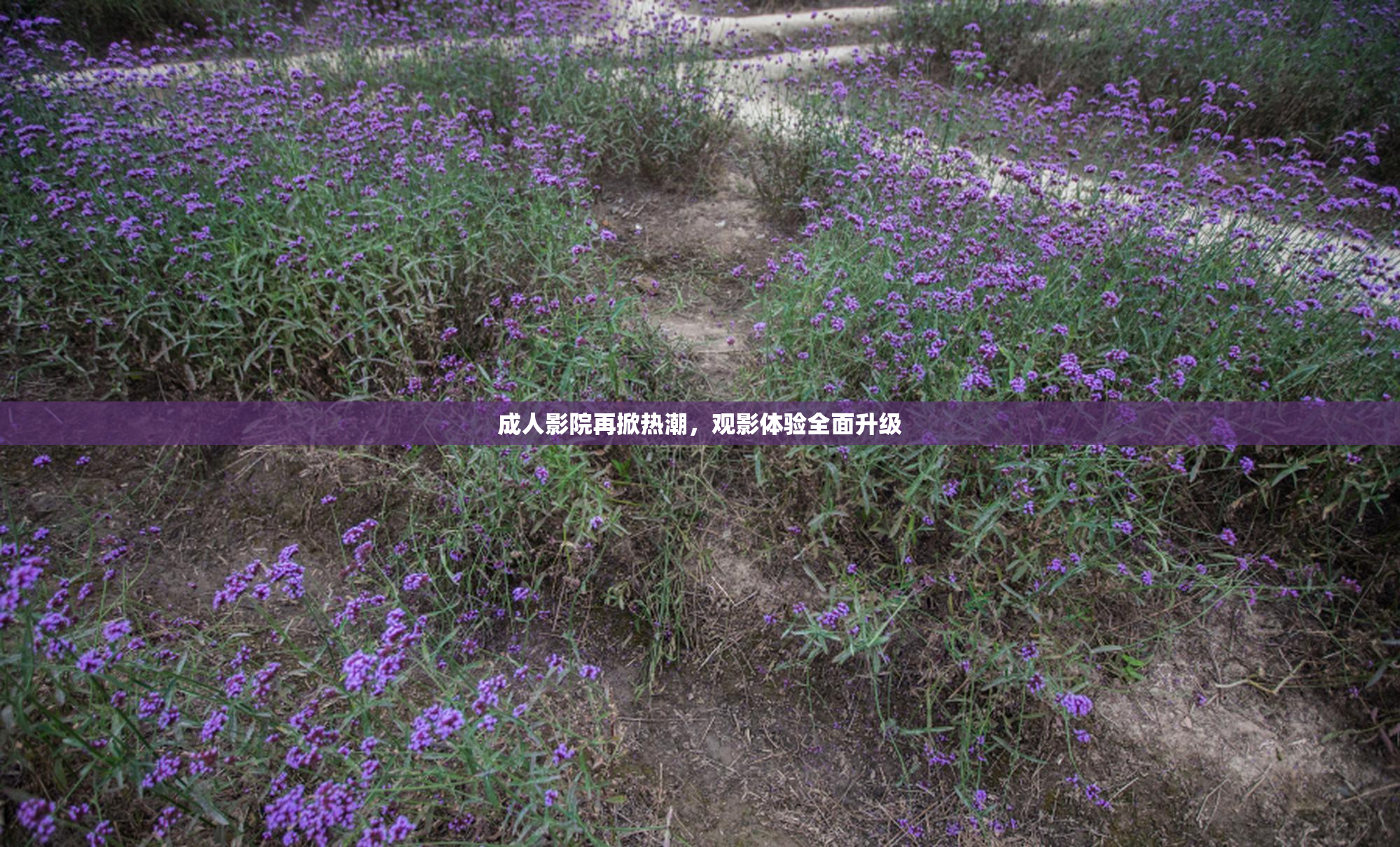 成人影院再掀热潮，观影体验全面升级