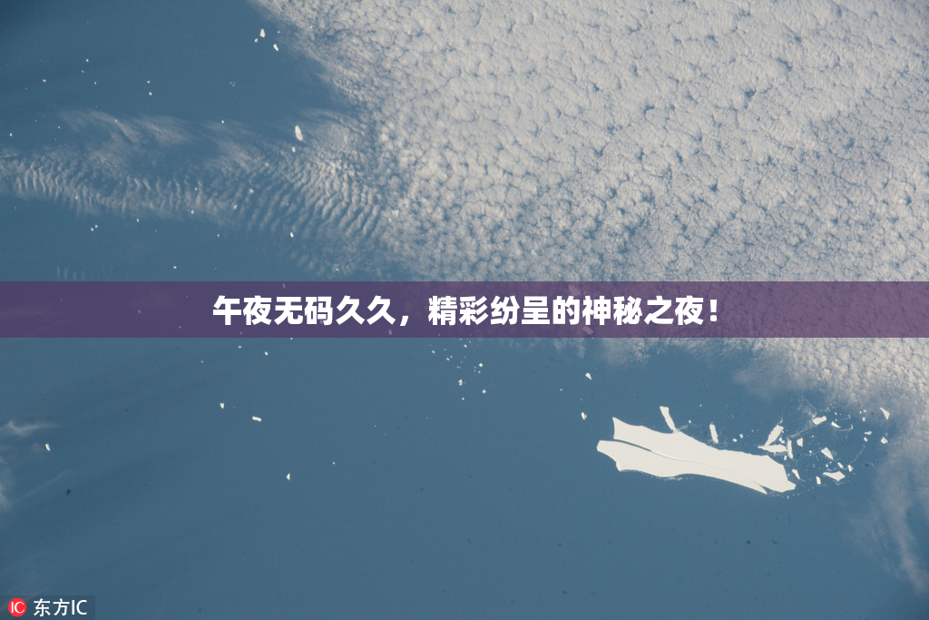 午夜无码久久，精彩纷呈的神秘之夜！