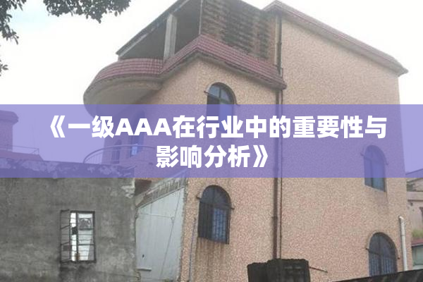 《一级AAA在行业中的重要性与影响分析》