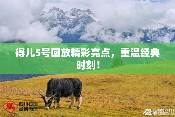 得儿5号回放精彩亮点，重温经典时刻！