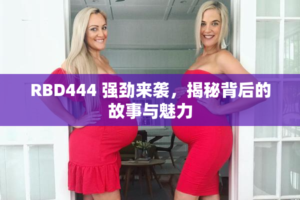 RBD444 强劲来袭，揭秘背后的故事与魅力