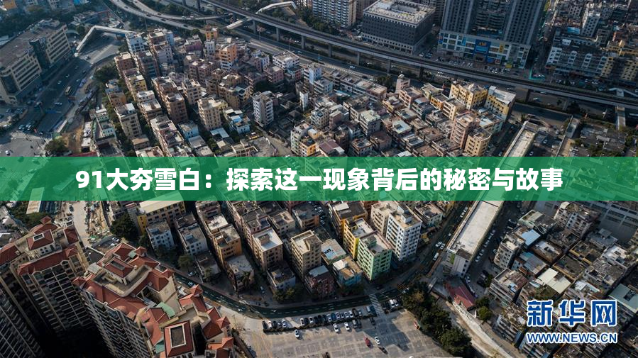 91大夯雪白：探索这一现象背后的秘密与故事