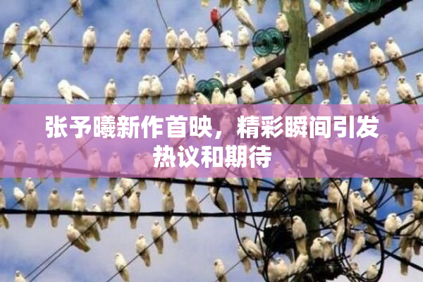 张予曦新作首映，精彩瞬间引发热议和期待