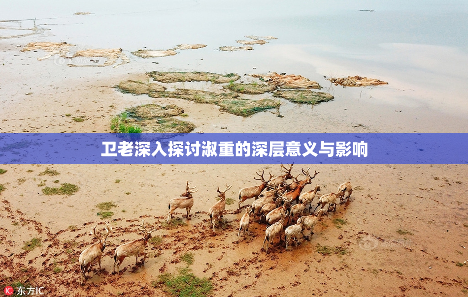 卫老深入探讨淑重的深层意义与影响