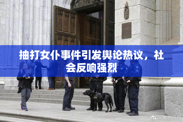 抽打女仆事件引发舆论热议，社会反响强烈