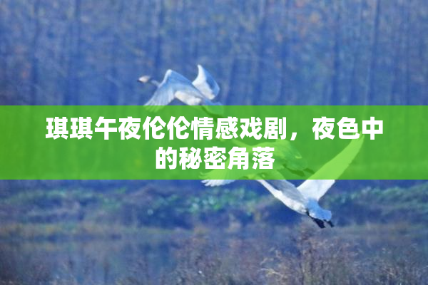 琪琪午夜伦伦情感戏剧，夜色中的秘密角落