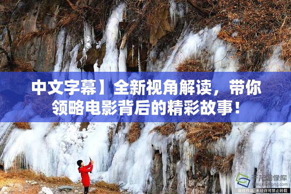 中文字幕】全新视角解读，带你领略电影背后的精彩故事！