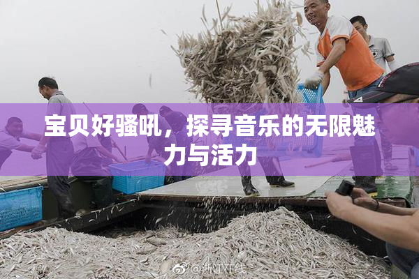 宝贝好骚吼，探寻音乐的无限魅力与活力