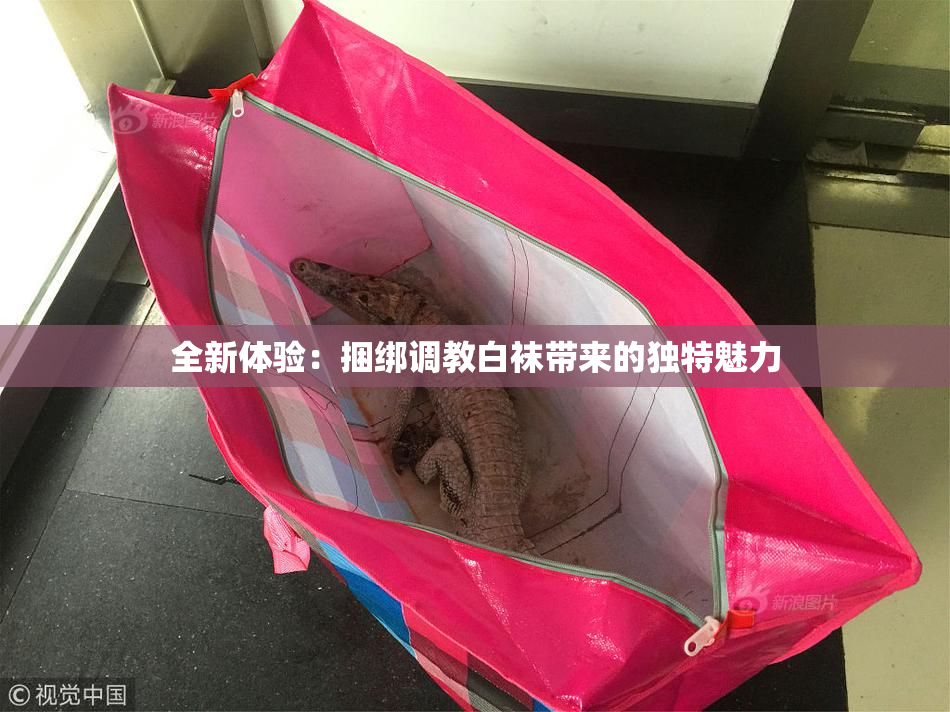 全新体验：捆绑调教白袜带来的独特魅力